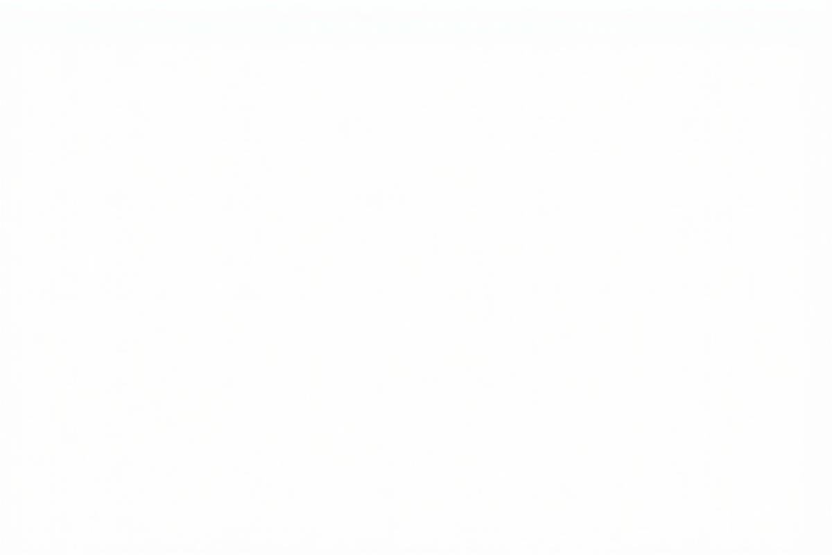 Our Professional Logo Design Studio